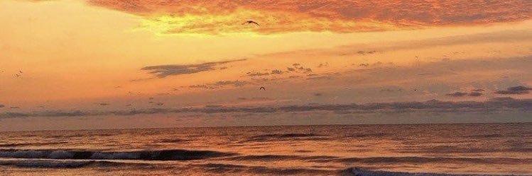 marigonzalez003's profile banner image