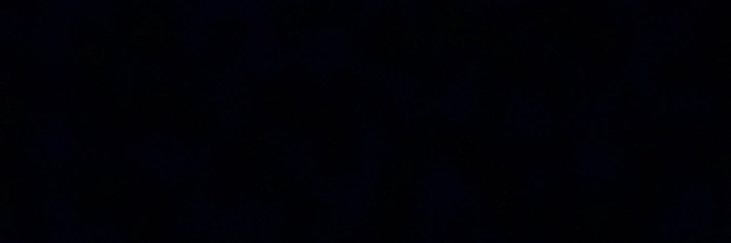 __RipMom_'s profile banner image