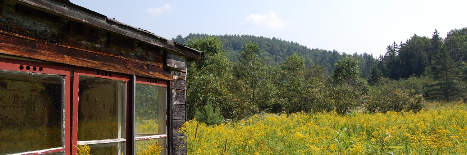 Sarah Wilkins-Laflamme banner