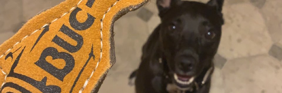 miranda grace banner