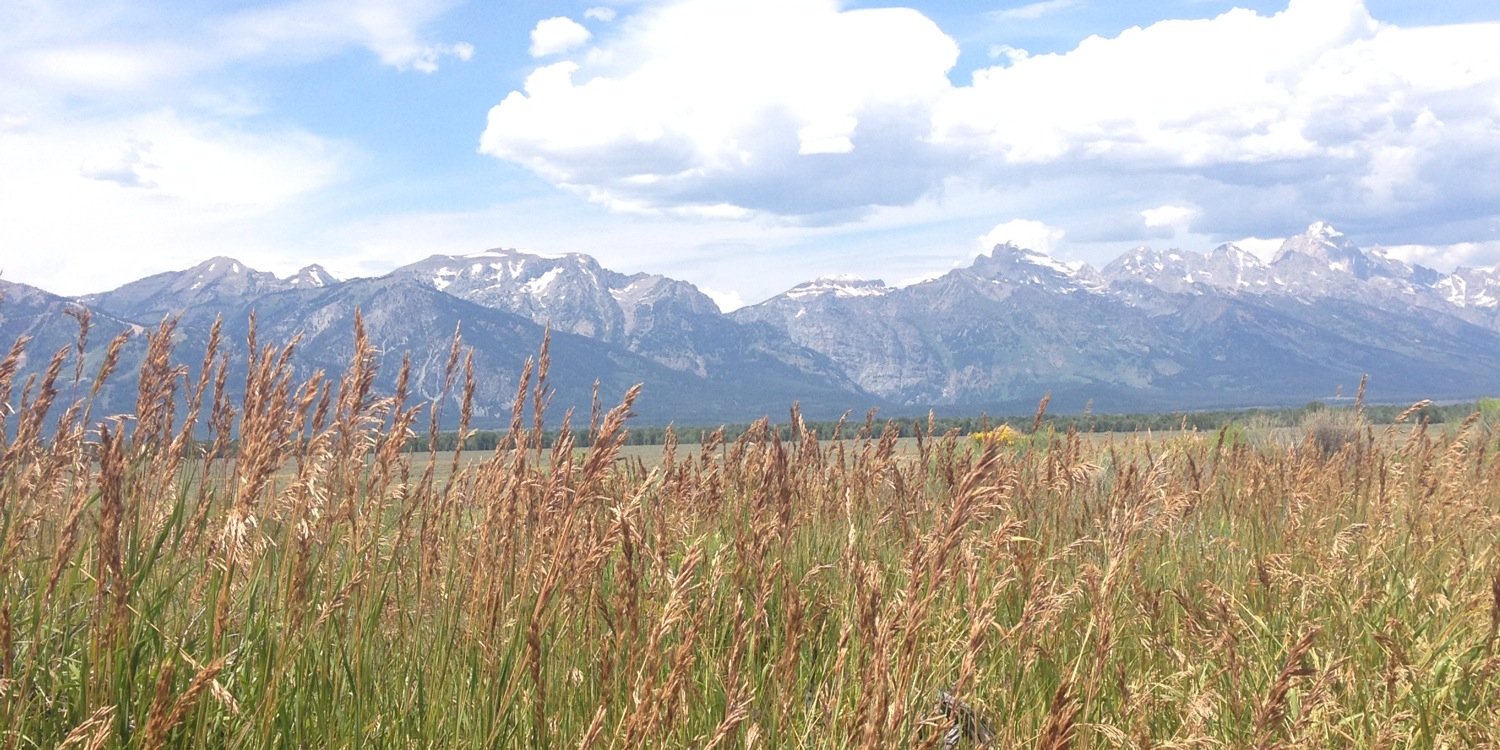 brookebarber's profile banner image
