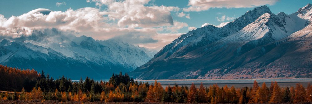 andregiese's profile banner image
