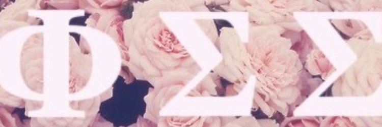 alyssanorman1's profile banner image