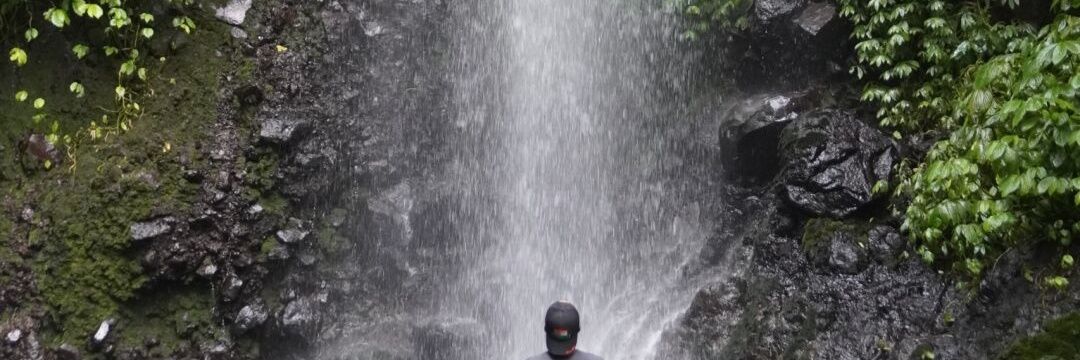 Butterfly Effect banner