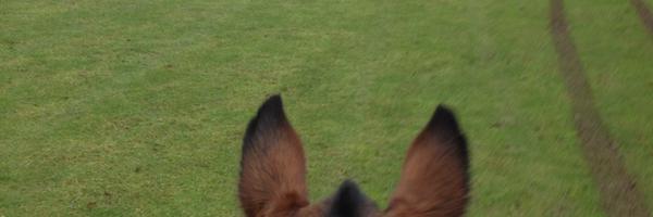 EdinSmiddles Profile Banner