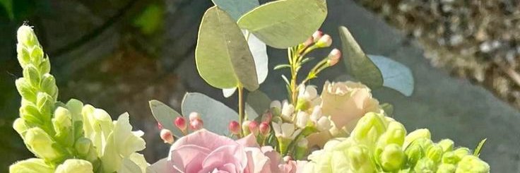 vxommis's profile banner image