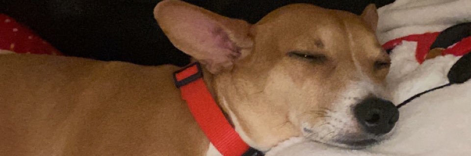 EvaMarie____'s profile banner image