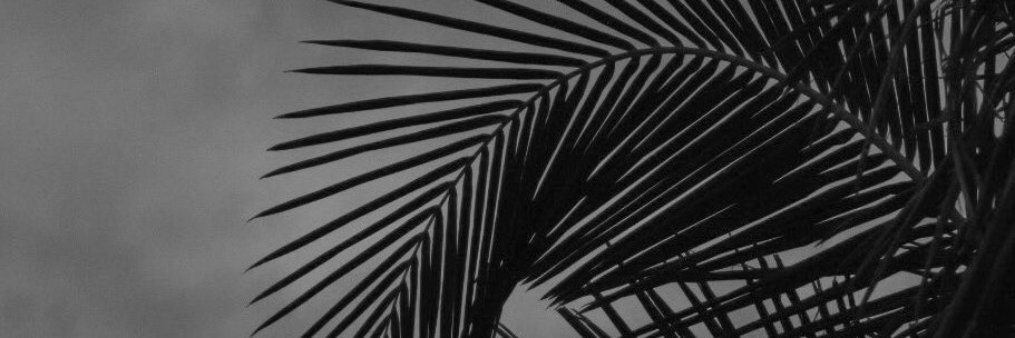 carocalio11's profile banner image