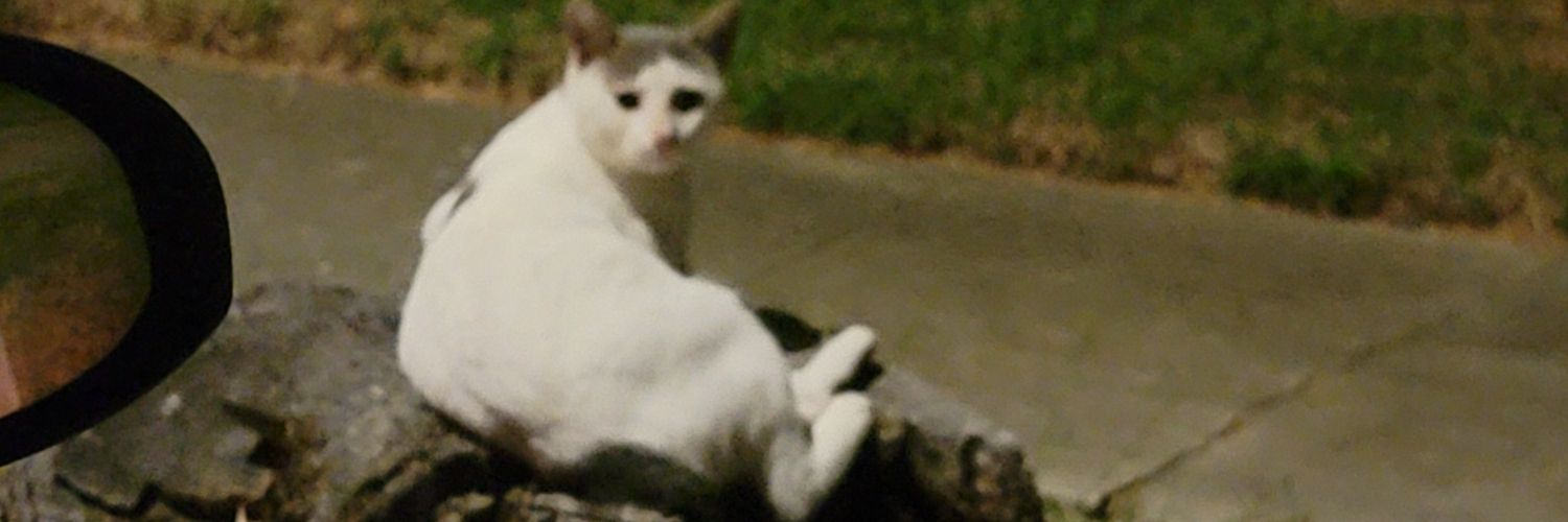 ONi | WALTER !!! banner