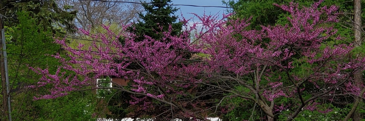 Ginger Edwards 🐛 banner