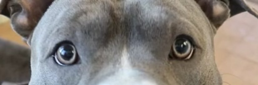 pearls24_'s profile banner image