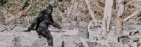 Pete Agresta (VP of BipCoin) banner