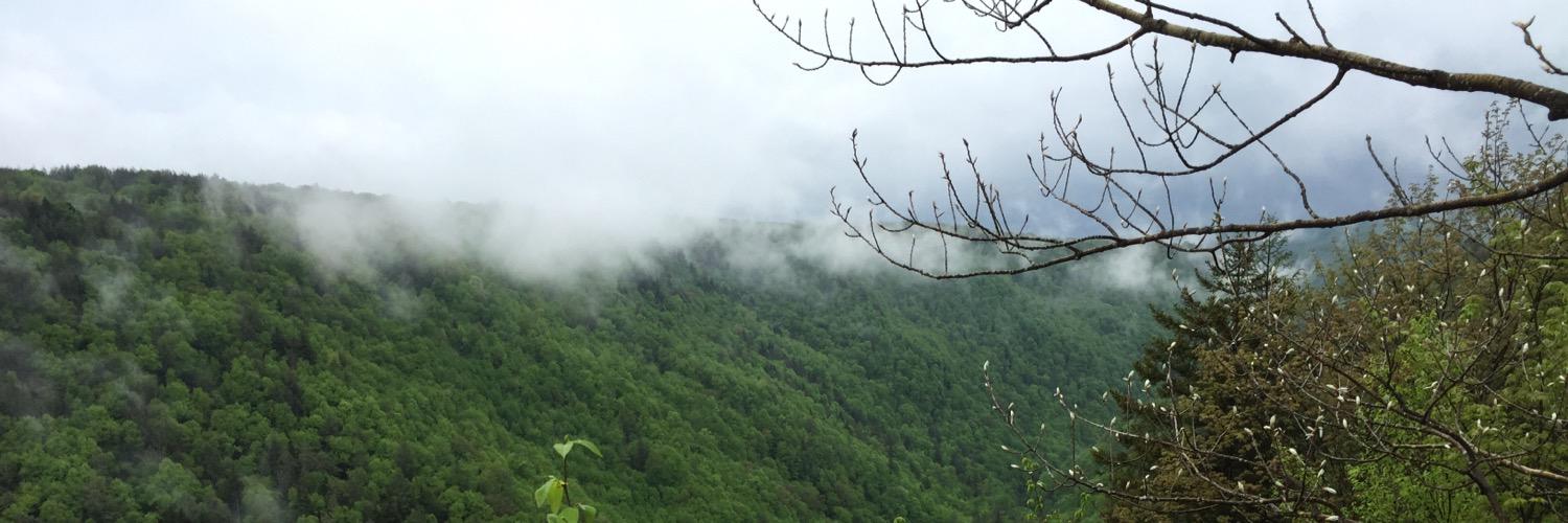 Danny Forinash banner