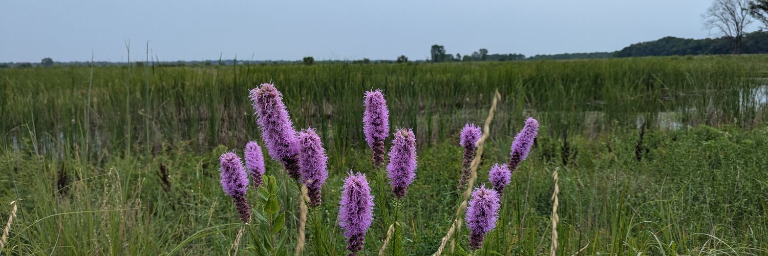 Dave Denlinger banner