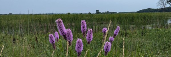 DaveDenlinger Profile Banner