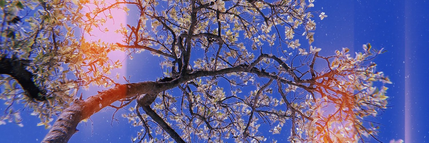 panconcroquetas's profile banner image