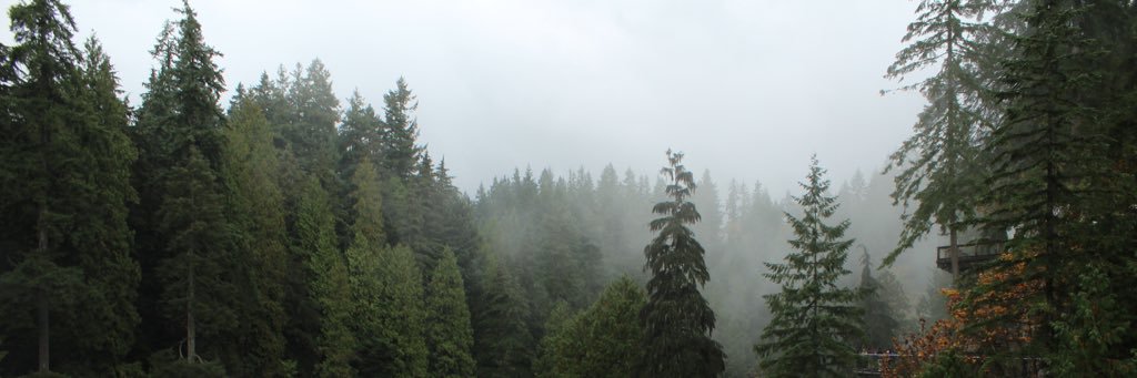 avisoor14's profile banner image