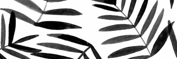 clarashinta's profile banner image