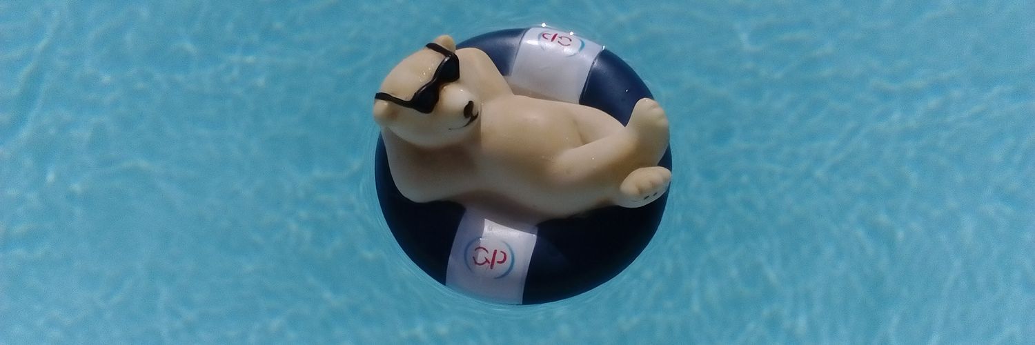 passion4pools's profile banner image