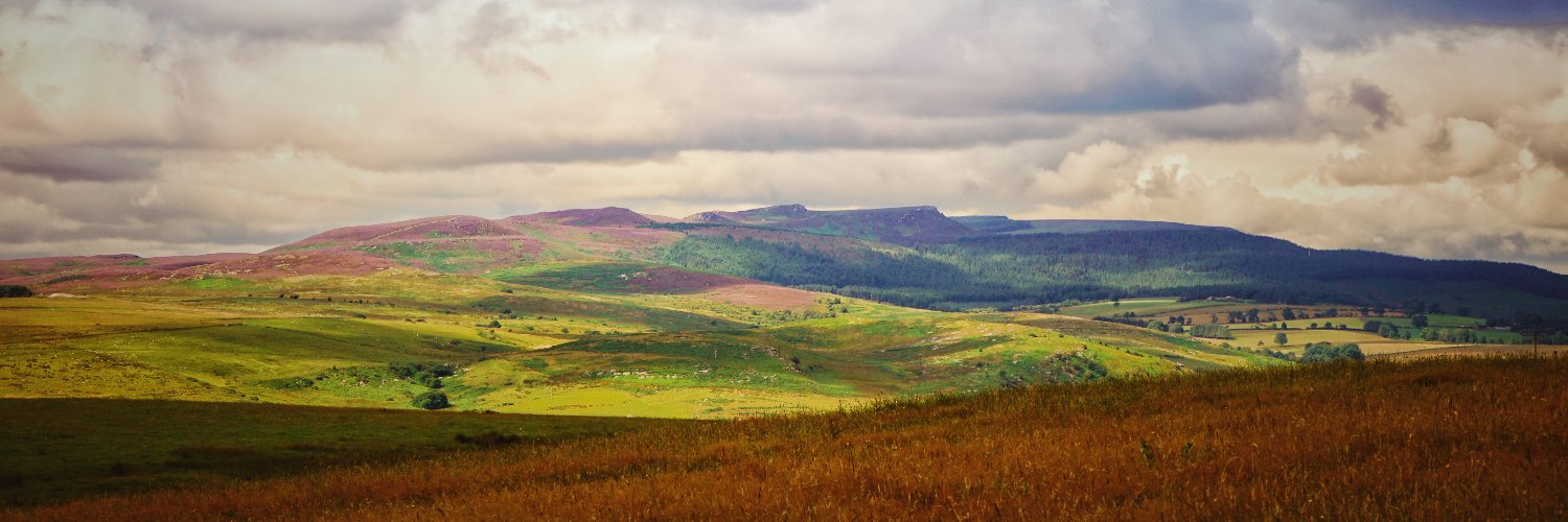 WoodheadCottage's profile banner image