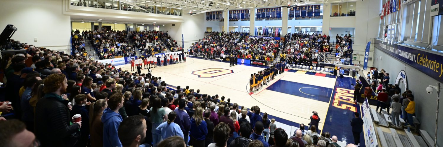 Queen's Gaels banner