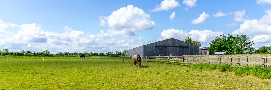 horseandcourse's profile banner image