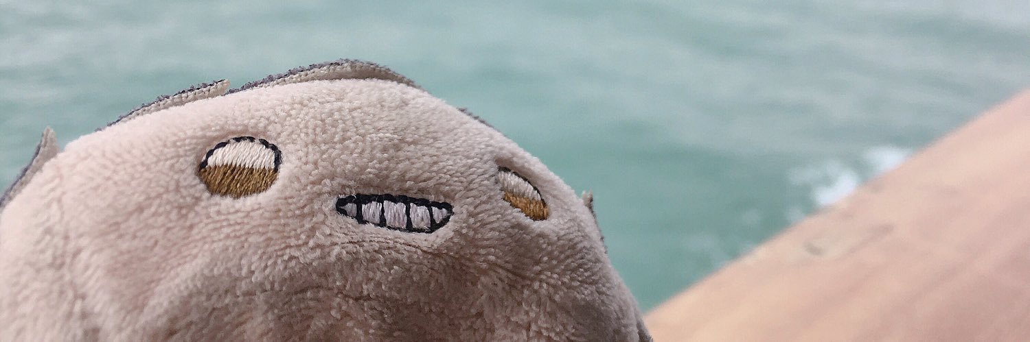 𝔸𝕞𝕚𝕄𝕚𝕒 banner