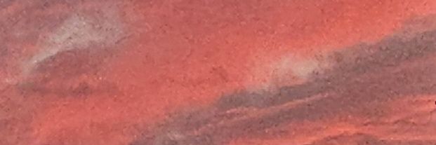 whalenseas2's profile banner image