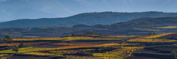 AnaFabiano Profile Banner