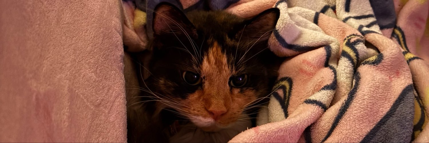 asysla's profile banner image