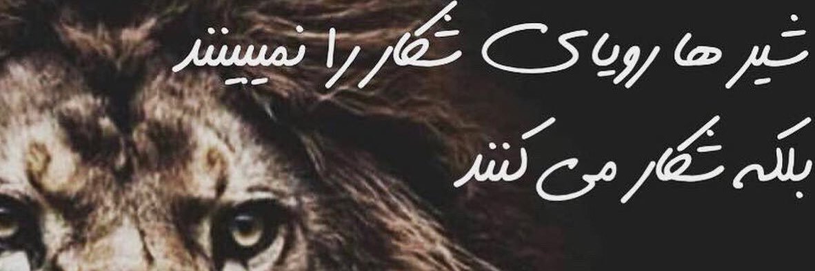 seyedm's profile banner image