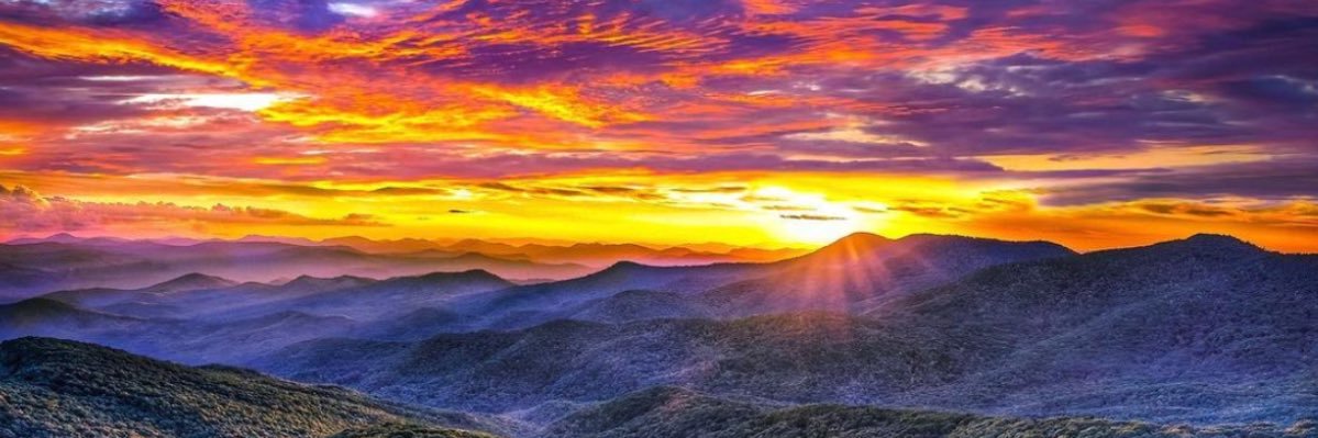 summerbjones_'s profile banner image