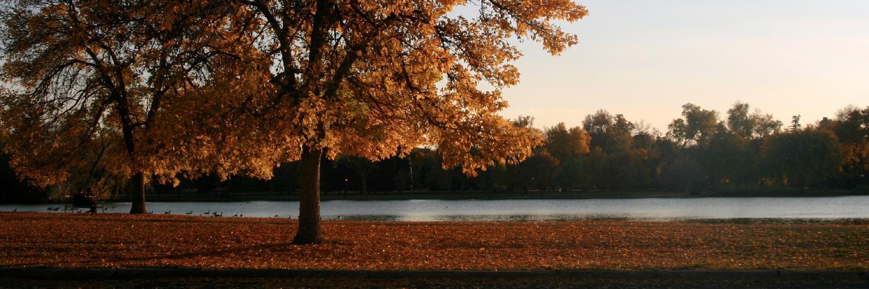 WashPark's profile banner image