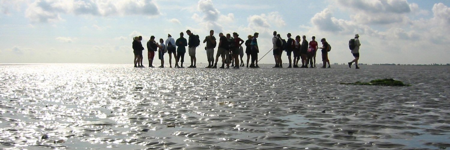 KlshSa's profile banner image