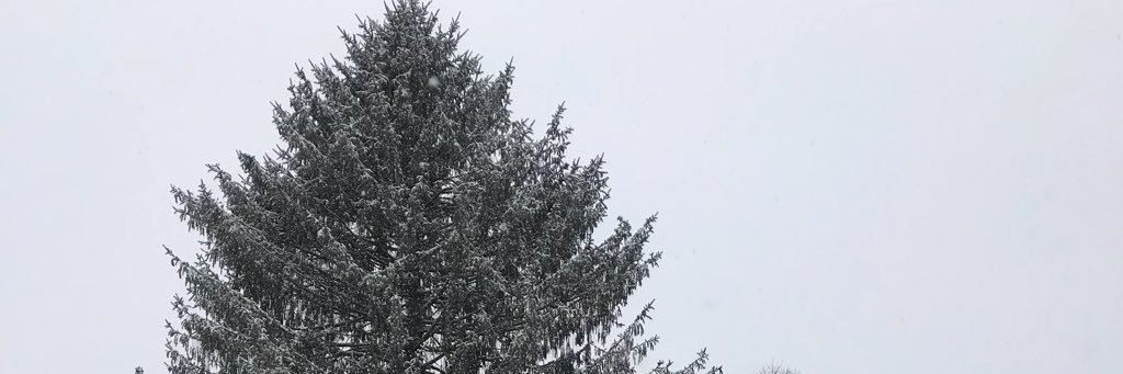 nattersmost's profile banner image