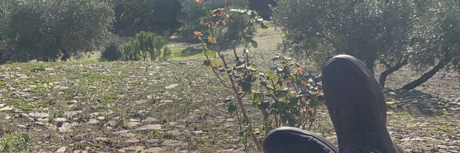 Antonio Millan banner