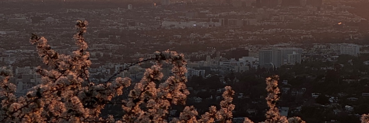 Jaye Hawthorne banner