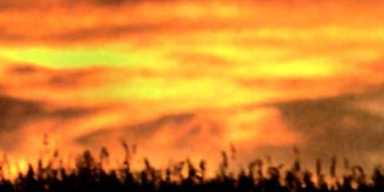 Hank_Rodgers's profile banner image