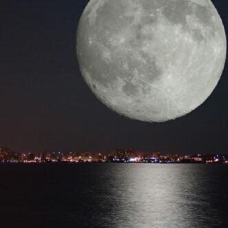 МaNaL♡ ツ banner