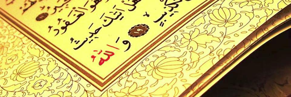 saridara's profile banner image