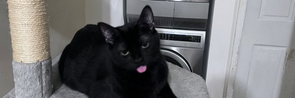 JH_Houston85 Profile Banner