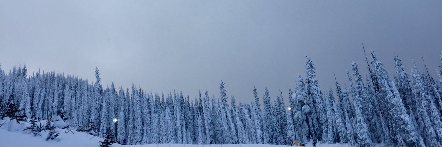 GabbiFisher's profile banner image