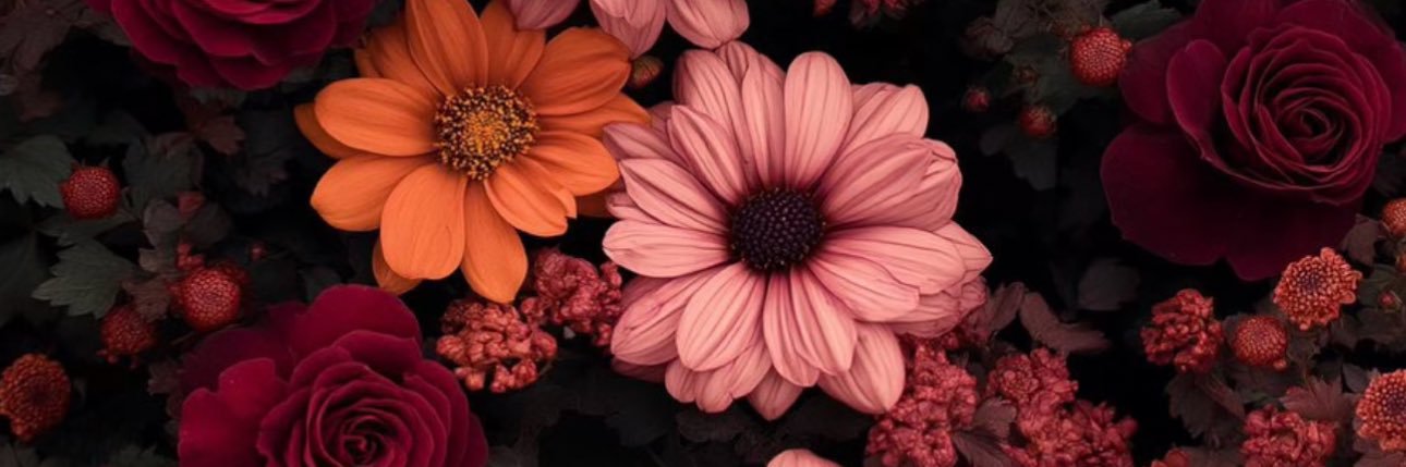 ebss___'s profile banner image