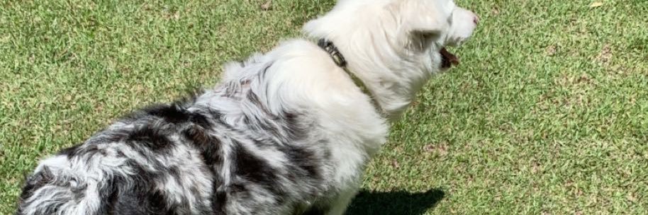 Kira2Chill's profile banner image