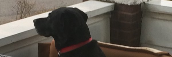 GermaniErik Profile Banner