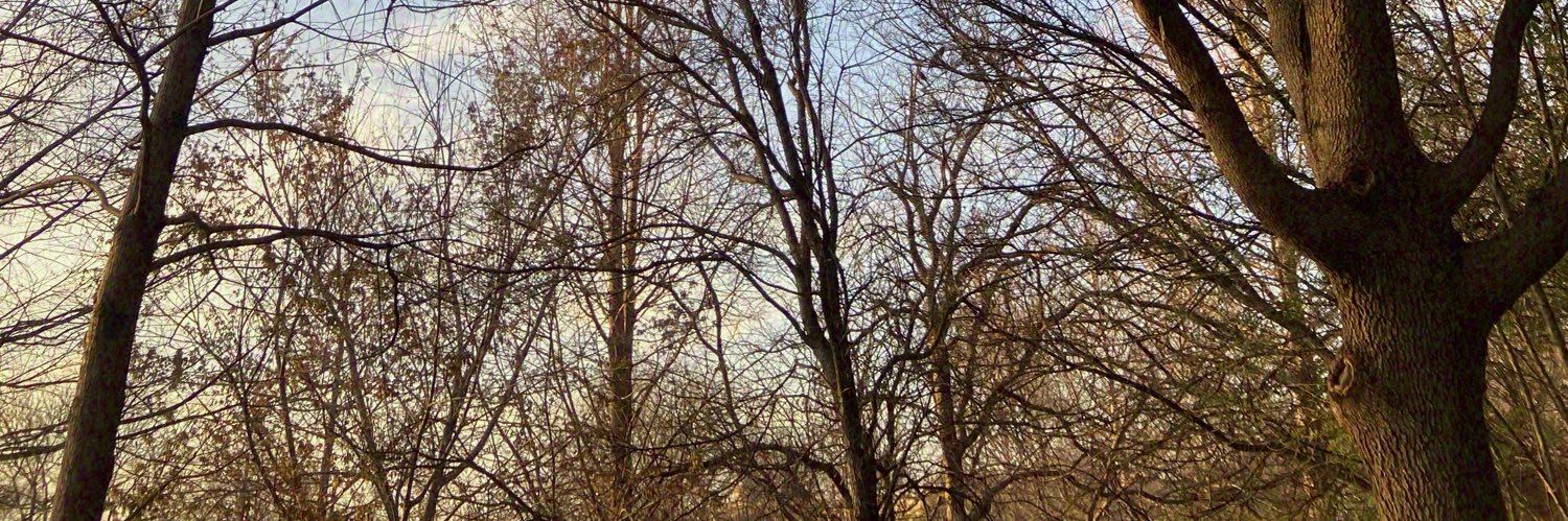 bren_tweets's profile banner image