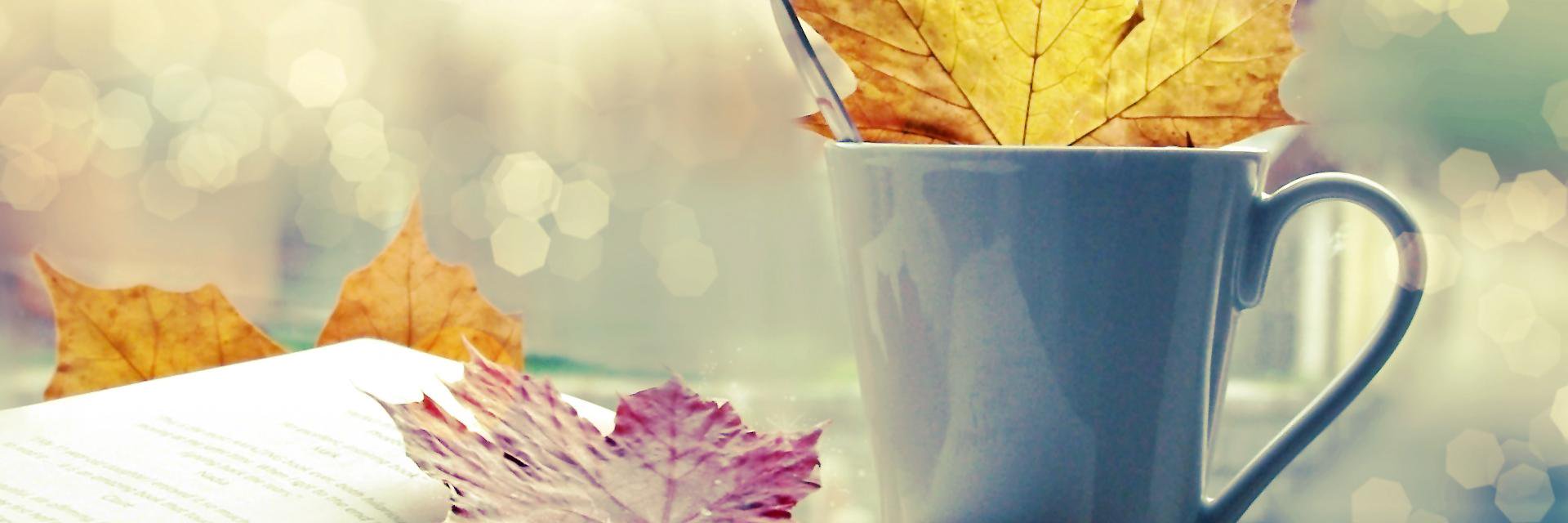 PhantomPaper's profile banner image