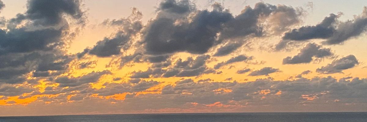 darinewael5's profile banner image