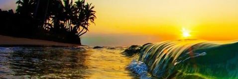 CateCalderon's profile banner image