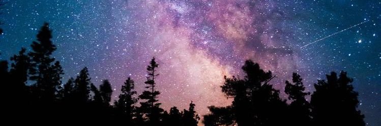 RayneSpencer's profile banner image